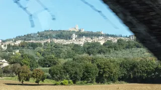 St. Francis - Ahead of His Time, and Still Here!